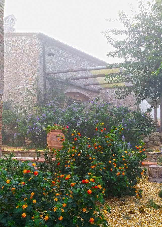 Agriturismo Le Canterie Radicondoli Exterior foto